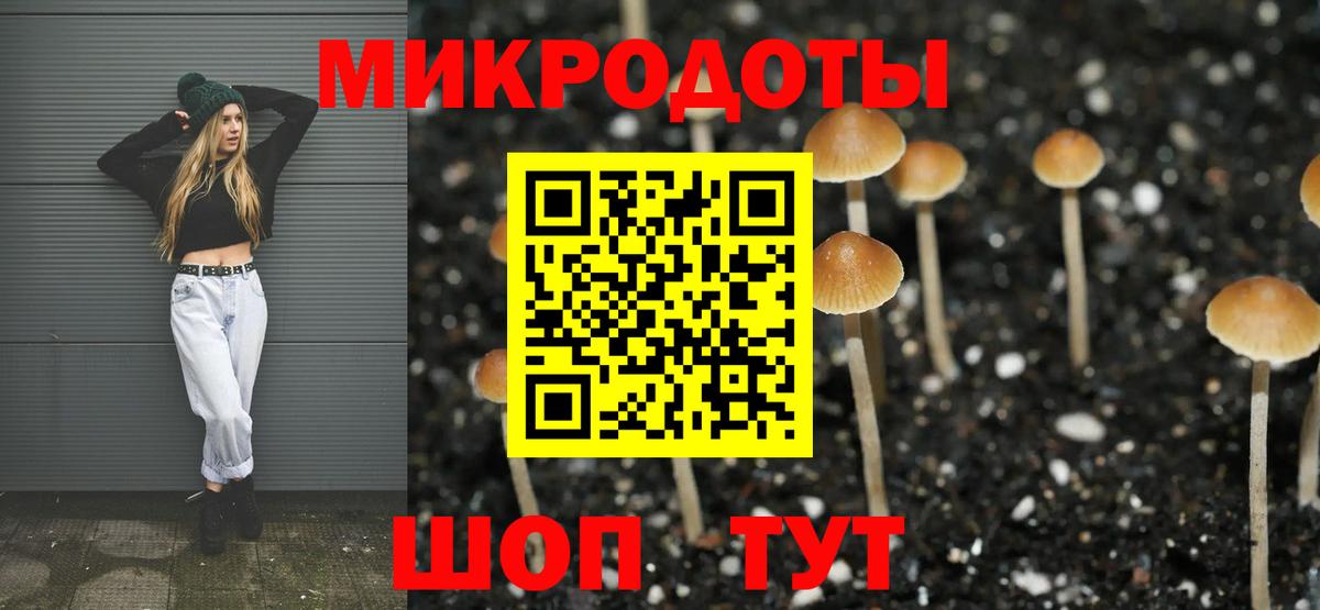 магазин  наркотиков  Вход с VPN  Избербаш  Псилоцибиновые грибы Cubensis 