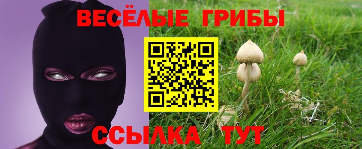 Галлюциногенные грибы мухоморы Избербаш